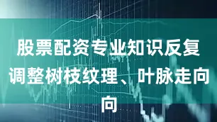 股票配资专业知识反复调整树枝纹理、叶脉走向