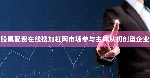 股票配资在线搜加杠网市场参与主体从初创型企业