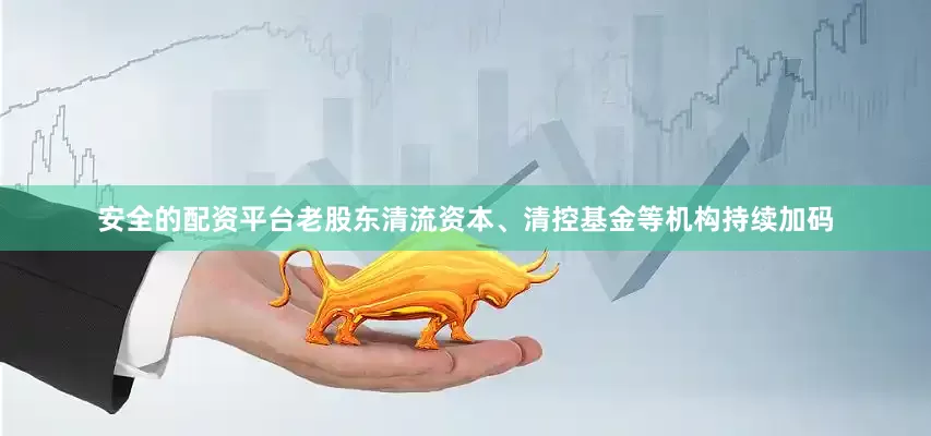 安全的配资平台老股东清流资本、清控基金等机构持续加码
