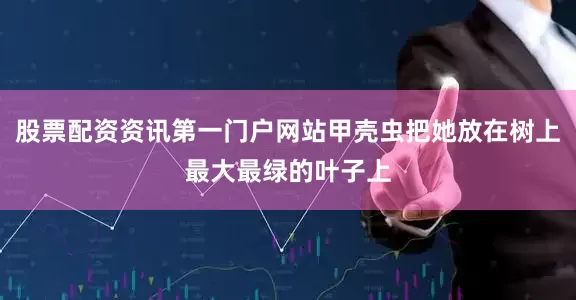 股票配资资讯第一门户网站甲壳虫把她放在树上最大最绿的叶子上