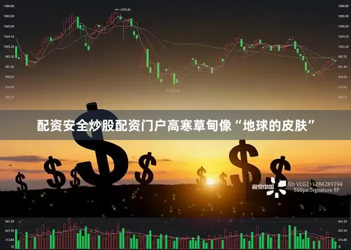 配资安全炒股配资门户高寒草甸像“地球的皮肤”