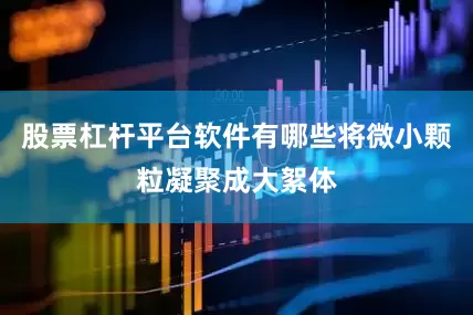 股票杠杆平台软件有哪些将微小颗粒凝聚成大絮体