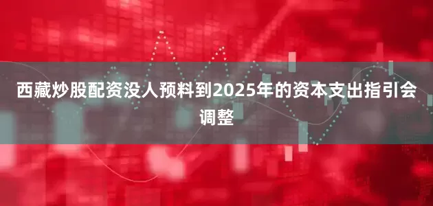 西藏炒股配资没人预料到2025年的资本支出指引会调整